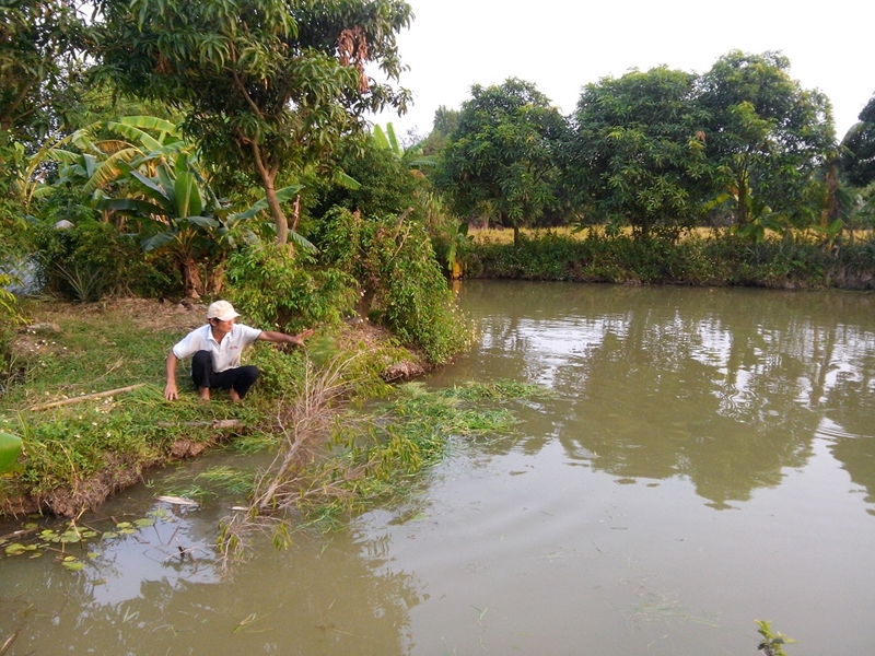 Nông dân Hưng Yên thi đua sản xuất, góp phần xây dựng quê hương