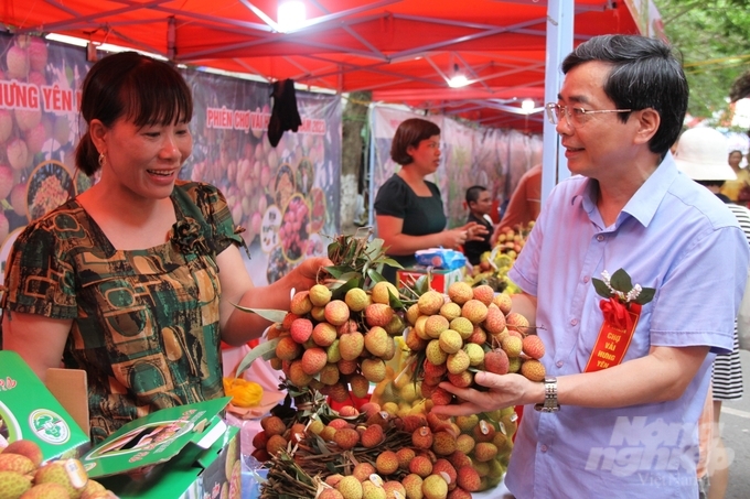 Hưng Yên đưa quả vải to như quả trứng bán ở... phố nhà giàu