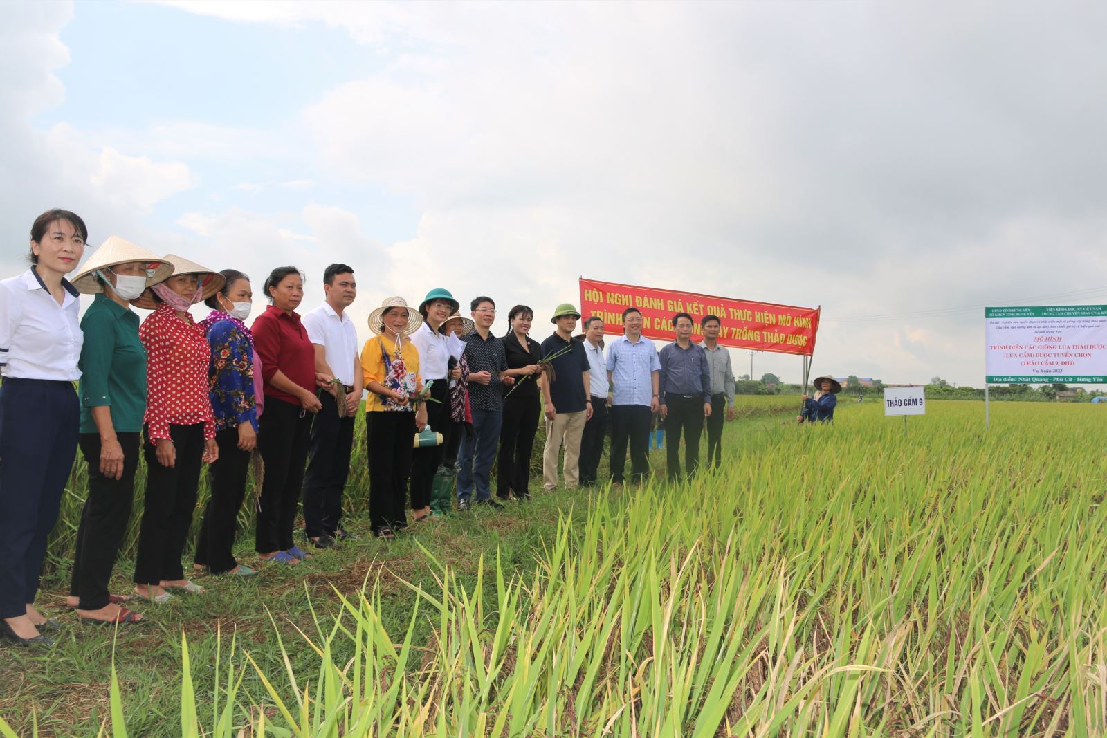 Hội nghị đầu bờ thăm quan đánh giá mô hình trình đề tài khoa học “Nghiên cứu tuyển chọn và phát triển một số giống cây trồng thảo dược (lúa cẩm, đậu tương đen và lực đen) theo chuỗi giá trị có hiệu quả cao tại tỉnh Hưng Yên”.