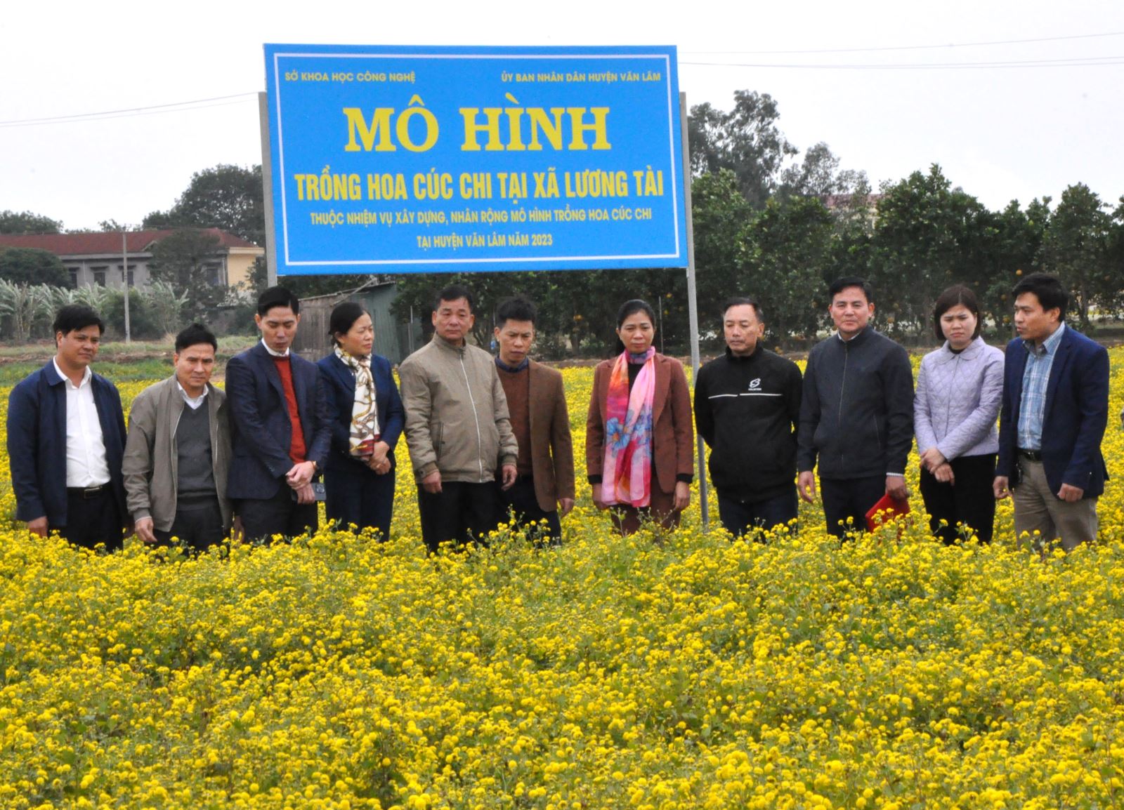 Hội nghị thăm quan đánh giá kết quả thực hiện Mô hình “Xây dựng, nhân rộng mô hình trồng hoa cúc chi tại huyện Văn Lâm”.