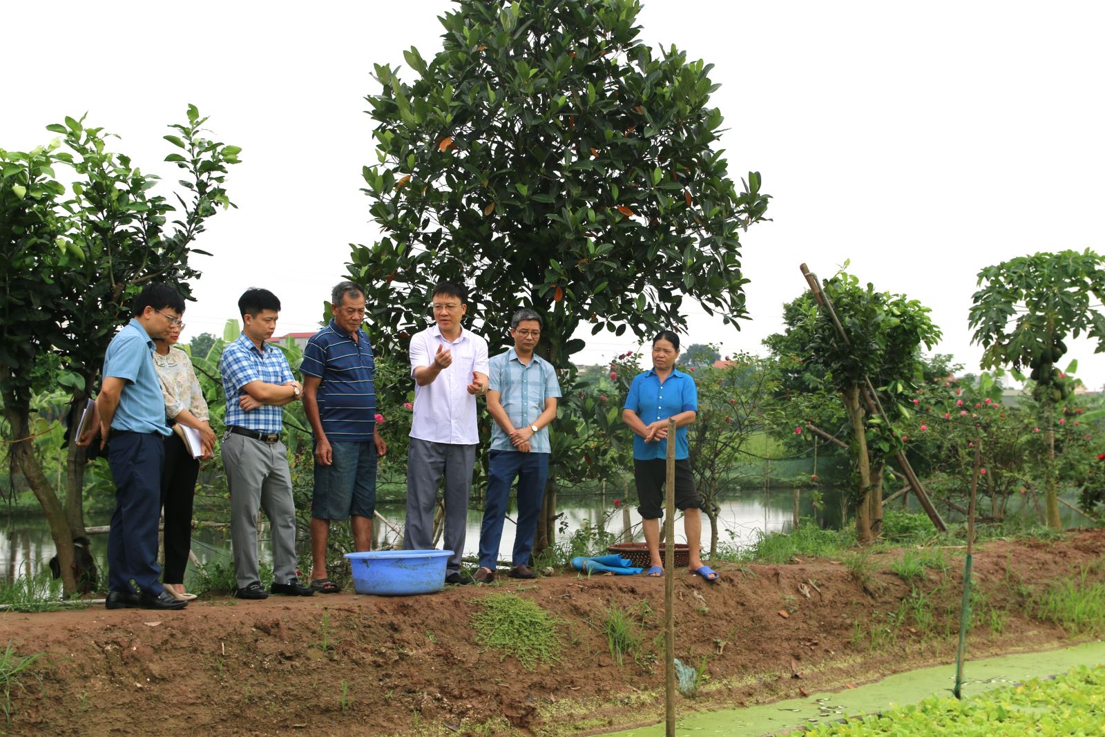 GIÁM ĐỐC SỞ KH&CN THĂM MÔ HÌNH NUÔI ỐC NHỒI THƯƠNG PHẨMTHEO VIETGAP TẠI THÀNH PHỐ HƯNG YÊN