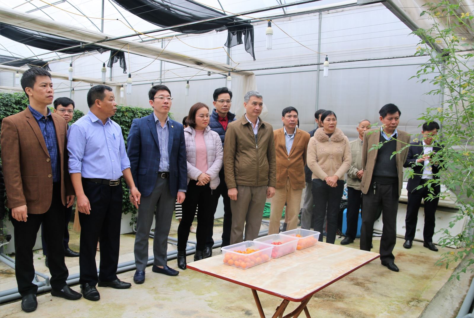 Hội nghị thăm quan tổng kết  nhiệm vụ “Mô hình ứng dụng công nghệ khí canh trồng cà chua nhỏ tại Hưng Yên”