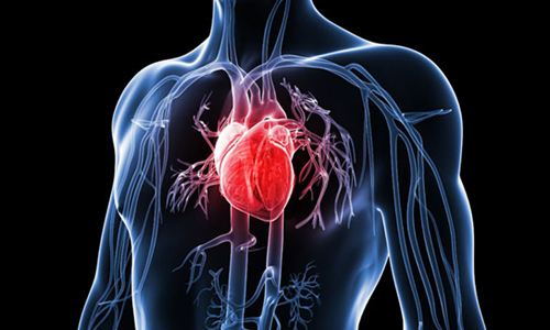 Đột phá y học: Thuốc xịt mũi giúp điều trị nhịp tim bất thường tái phát tại nhà