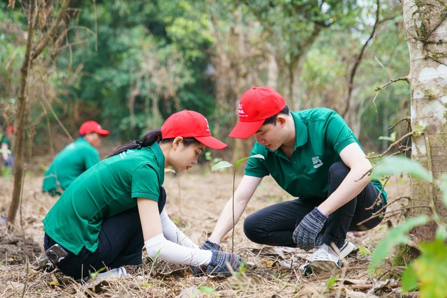 Khẩn trương đào tạo nhân lực cho thị trường tín chỉ carbon