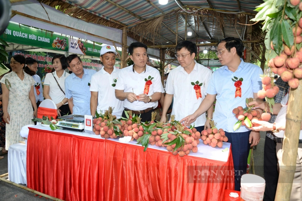 Một phiên chợ đang diễn ra tại khu đô thị Ecopark, bán thứ quả đặc sản chỉ có ở Hưng Yên, giá 220.000 đồng/kg