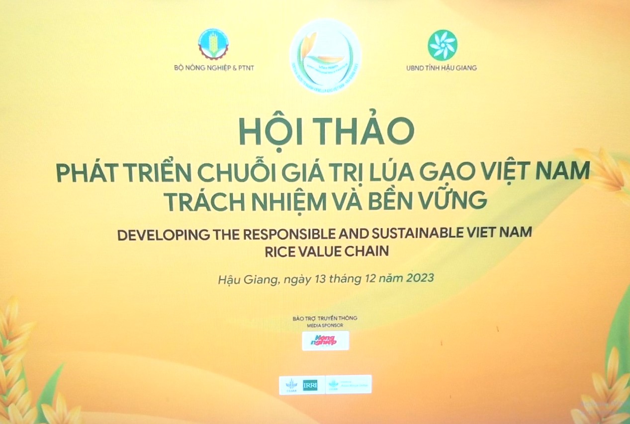 Phát triển chuỗi giá trị lúa gạo Việt Nam: Trách nhiệm và bền vững